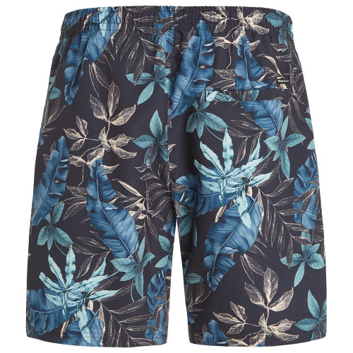 Protest Ανδρικό μαγιό Prtdorset Beachshort